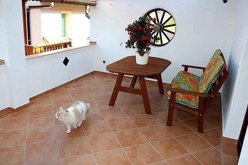 Фото в интерьере