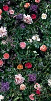 William 60X120 6мм