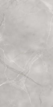 Керамогранит Armani Gris 60х120 полированный универсальный
