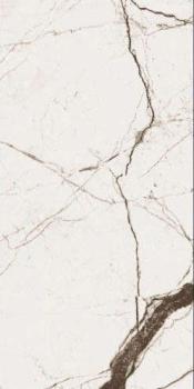 Керамогранит Wonicy White 60х120 полированный универсальный