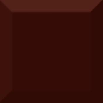 Absolut Keramika Monocolor Marron Biselado Brillo 10x10 10x10