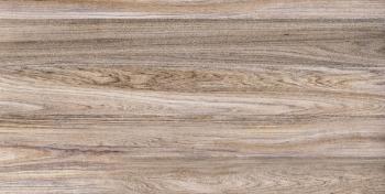 Плитка TWU09WOD404 Wood 24,9х50