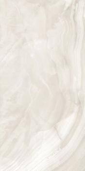 Onyx Gris Glossy 60x120