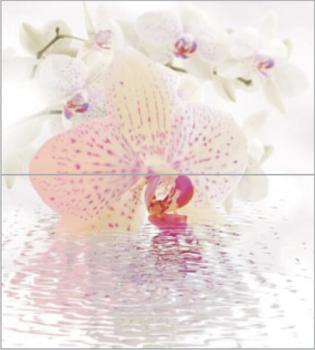 Ceradim Orchid Dec Panno из 2-х шт) 45x50