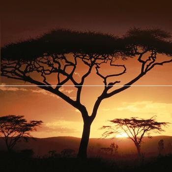 Africa Панно P2-2D210 40х40 (из 2 плиток)