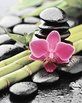 Porto Bambu and Orchide Панно 75x60 (3пл)