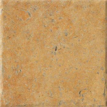 Керамогранит Cotto Del Campiano Giallo Umbria 20x20 Serenissima and Cir матовый напольный
