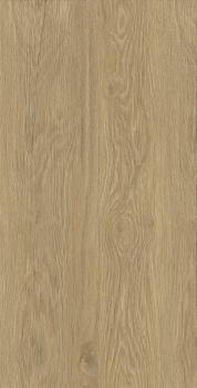 Coliseumgres Merano Мерано Хани 22,5x90