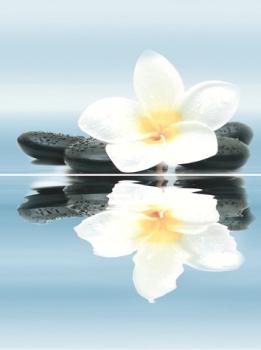 Дельта Керамика Dream P2-2D185 (из 2-х пл.) 30x40