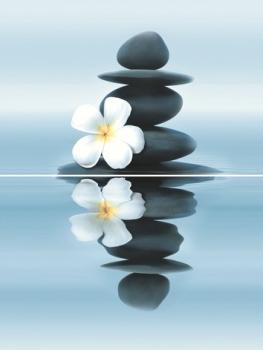 Дельта Керамика Dream P2-3D185 (из 2-х пл.) 30x40