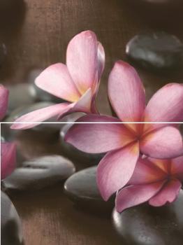 Дельта Керамика Sauna P2D174 (из 2-х пл.) 30x40