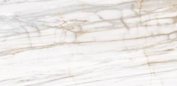 Venato Gold Pulid 80x160