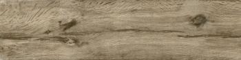 Halcon Wild PRI Taupe 15,3x58,9