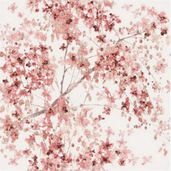 Ibero Poeme Jasmine A Cayenne Blanco 25x75