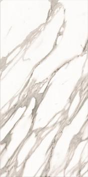 Calacatta Champagne LLR 60x120