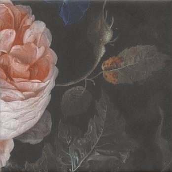 Керама Марацци MLD/A108/5009 Парк Роз 20х20