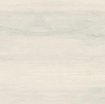 Madera Plata Matt Rectificado 60х60