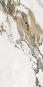 P.E. Pul Stagnone Gold Rect. 60X120