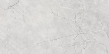 Connect Gris Керамогранит серый SG50002922R 60х119,5 полированный