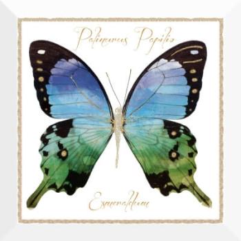 Monopole Farfalla BLU 30x30