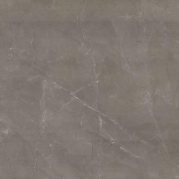 Reness Gris 60.8X60.8