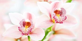 Меланж бежевый панно (из 4-х частей 250х500 каждая)