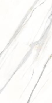 Statuario Calcatta Glossy 60х120