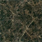 Peronda Museum Bach-M/P 60x60