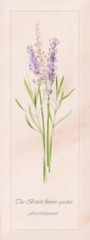 150345 Ньюкасл Декор 2 15х40