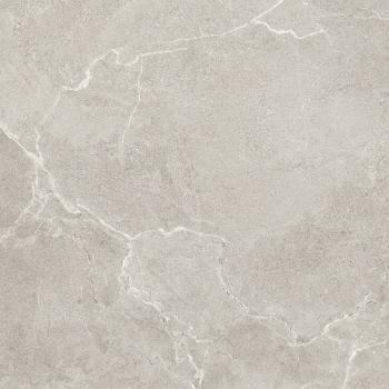 Olympia Arena 60х60