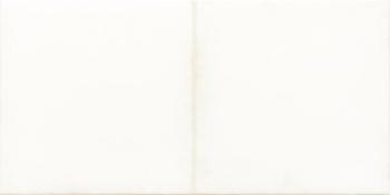 Rako Retro WARMB521 19,8x39,8