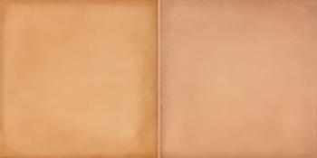 Rako Retro WARMB522 19,8x39,8