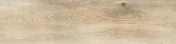 Rako Saloon DAK82746 19,8x79,8