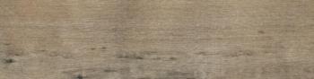Rako Saloon DAK82748 19,8x79,8