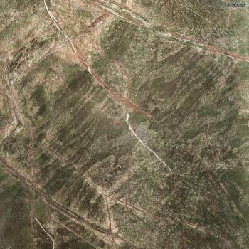 Seranit Seramarmi Green Polished 60x60