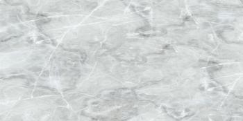 2740 Davinci Light Gray 60х120