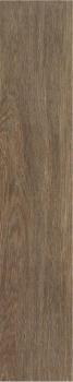 STN Tacora Brown Mt Rect. 22,7x119,5