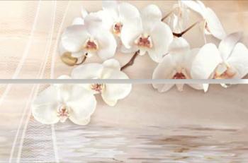 Undefasa Onice Iryna-2 50x75