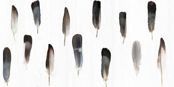 Керамогранит VALLELUNGA DECORANDUM Pluma 50х100